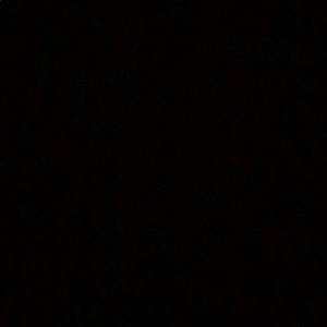 Meet your Posher, Sienna